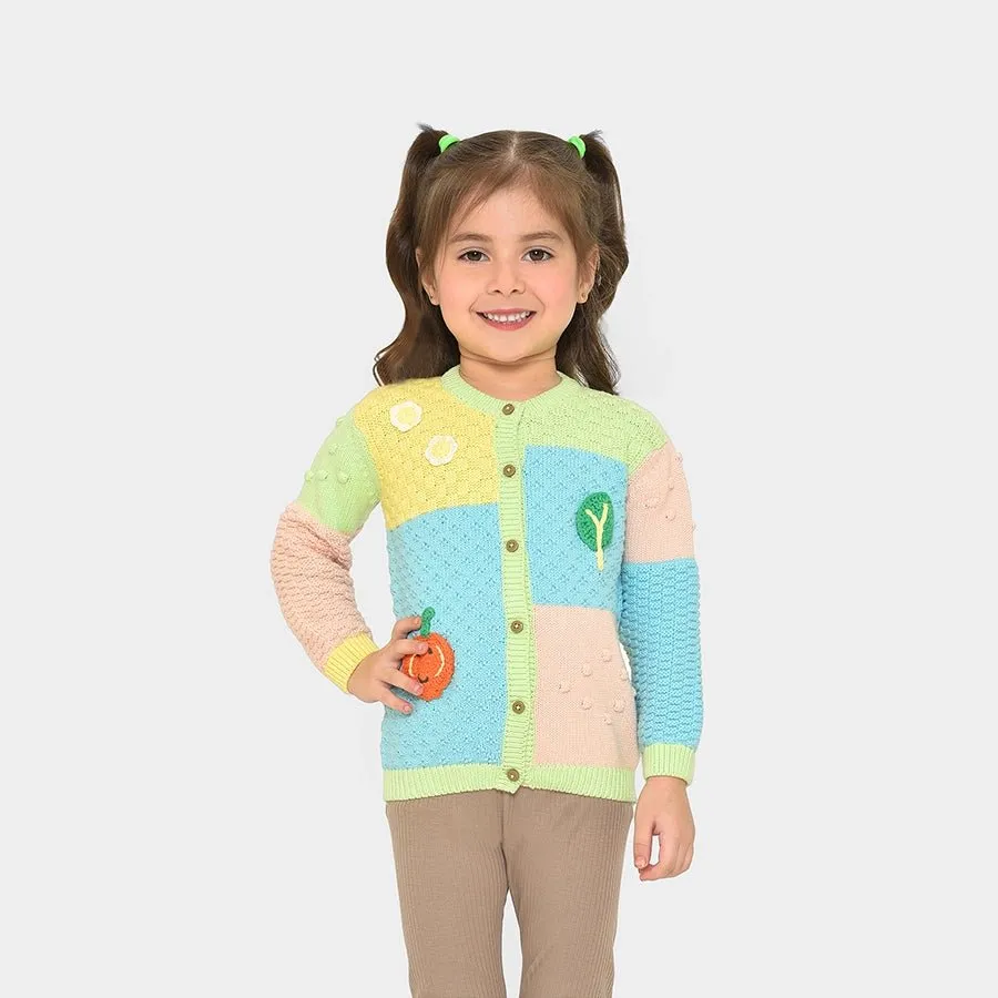 Farm Friends Knitted Colorblock Sweater for Kids