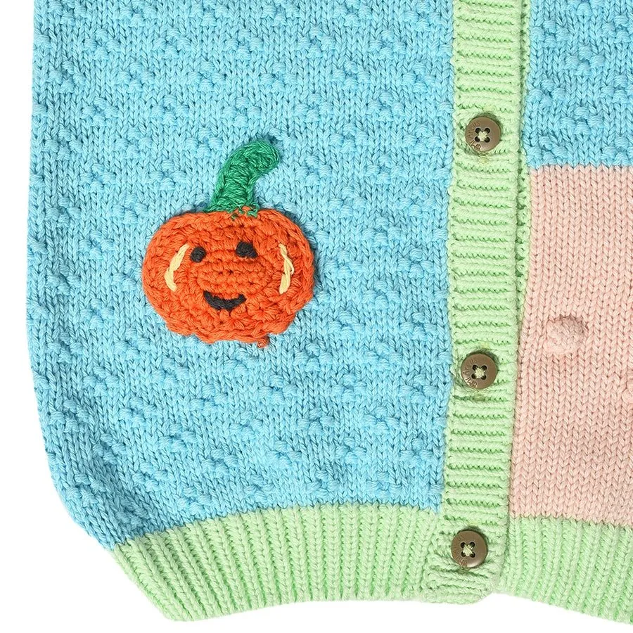 Farm Friends Knitted Colorblock Sweater for Kids